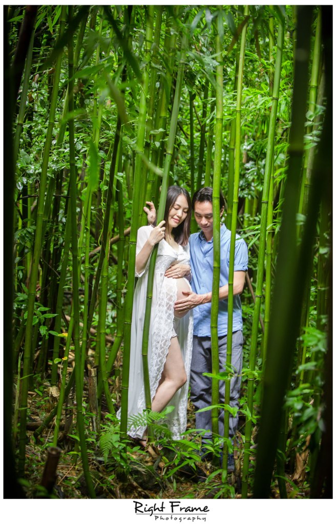 Oahu Maternity Photographer Bamboo Forest
