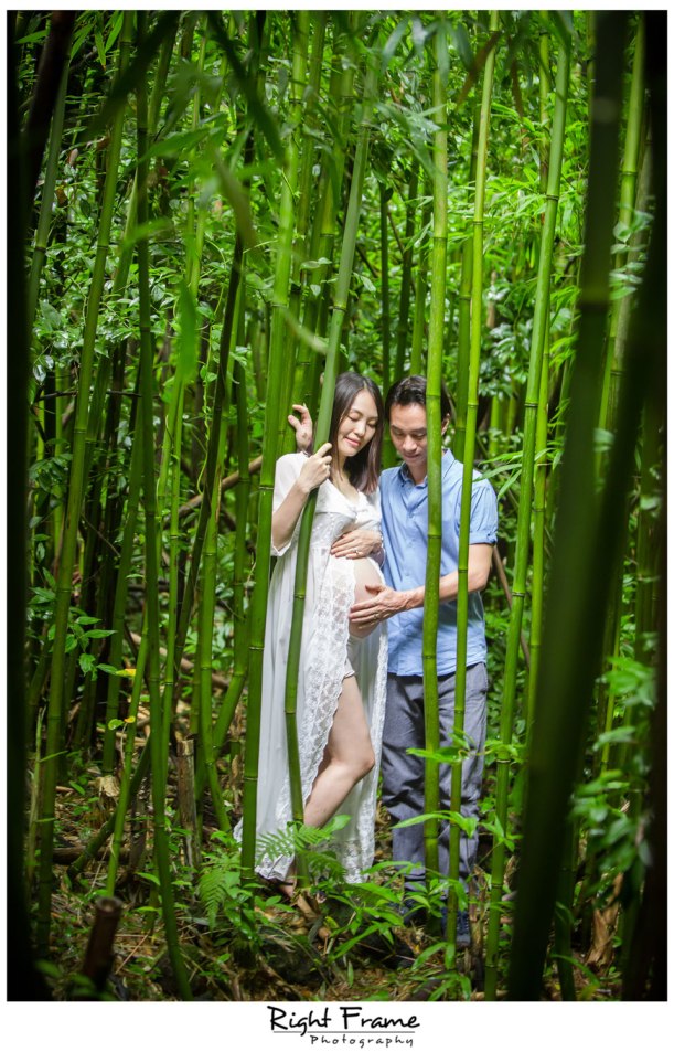 Oahu Maternity Photographer Bamboo Forest