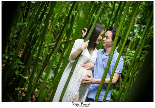 Oahu Maternity Photographer Bamboo Forest