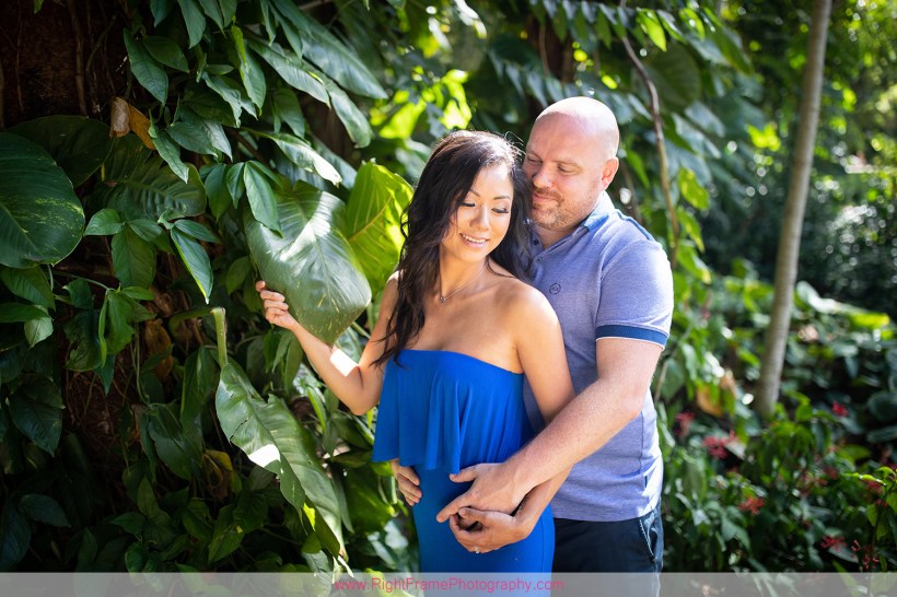 Oahu Honeymoon Photographers