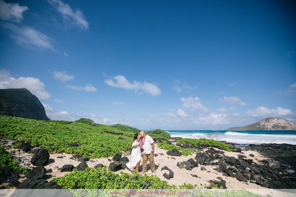 PROFESSIONAL PHOTOGRAPHERS NEAR WAIKIKI